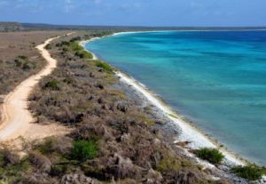 TSA rechaza recurso de amparo contra personas que dicen ser dueños de terrenos en Bahía de las Águilas