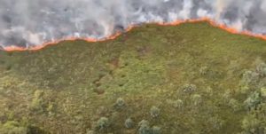 Incendio forestal azota zona turística Cap Cana