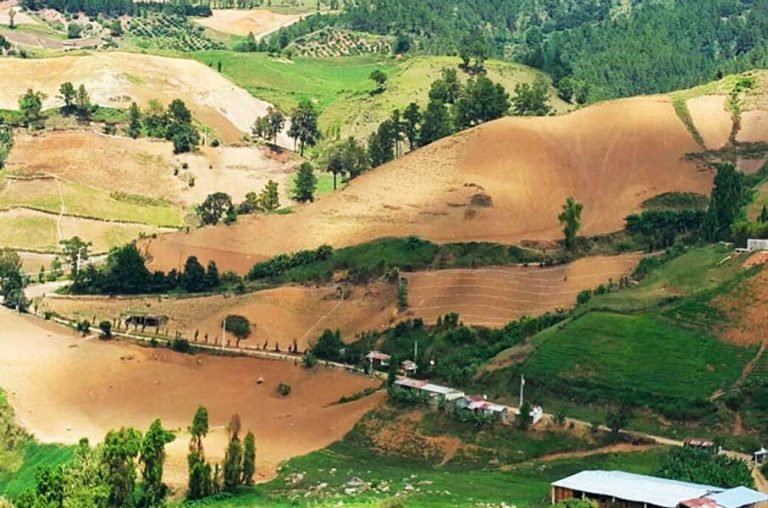 Medio Ambiente reitera cese definitivo de cultivo de ciclo corto en Valle Nuevo