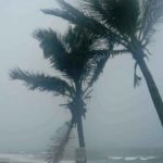 Se forma «Bonnie», la segunda tormenta tropical del año en el Atlántico