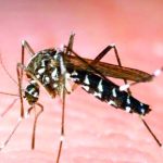 Salud Pública ratifica alerta epidemiológica por incremento de dengue de 157% en Las Américas